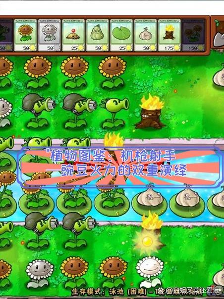 植物大战僵尸植物僵尸1攻略视频
