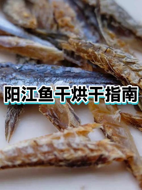 几月份晒鱼干最好