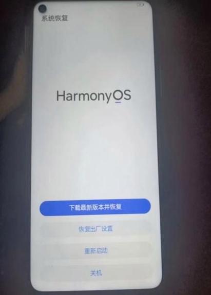手机格式化了能恢复数据吗
