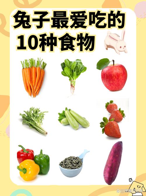兔子最喜欢吃的10种食物