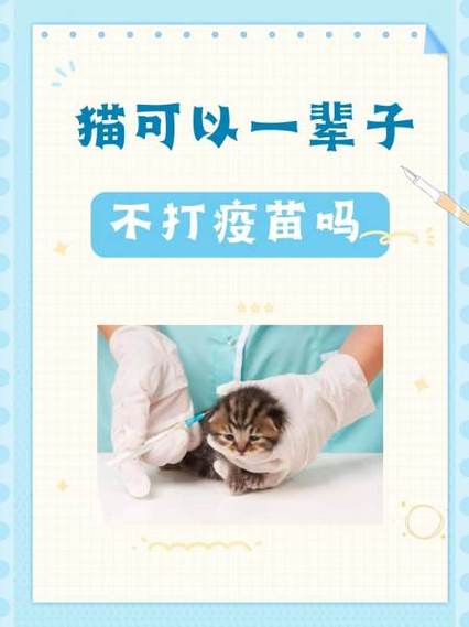 母猫被强行骑会得白血病吗