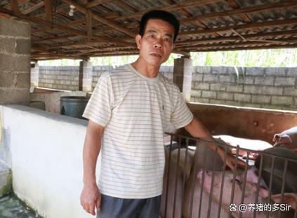 养猪的人
