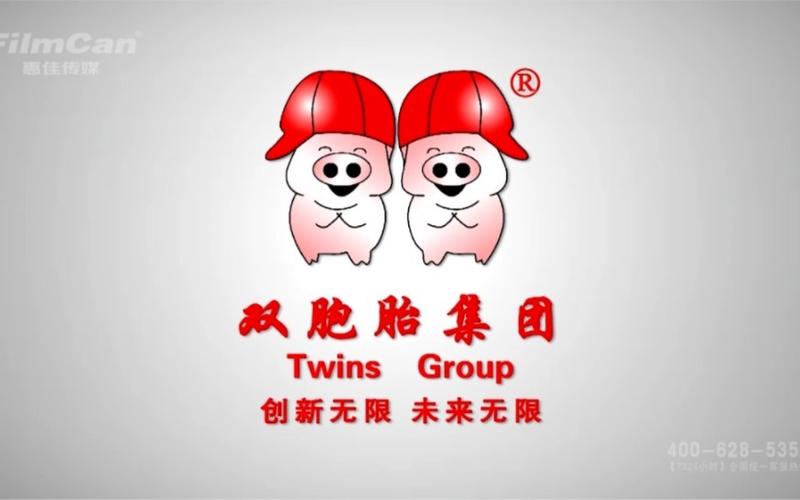 双胞胎集团最建议去不