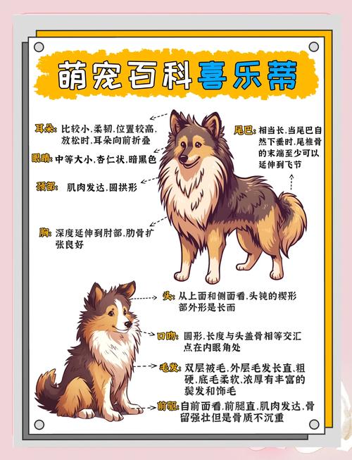 聊天狗官网