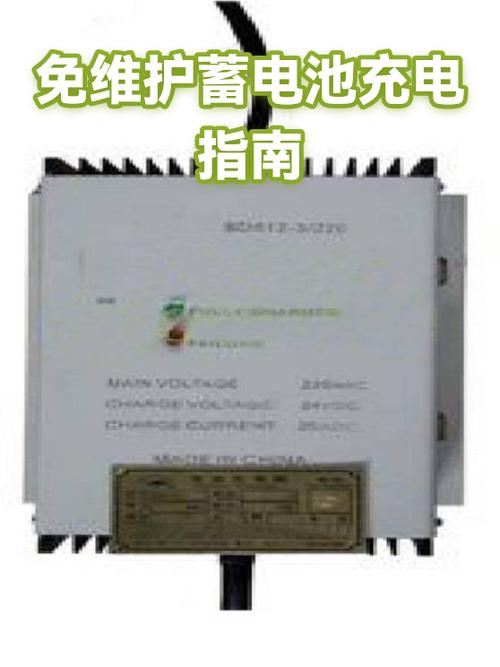 免维护电瓶的正确充电方法