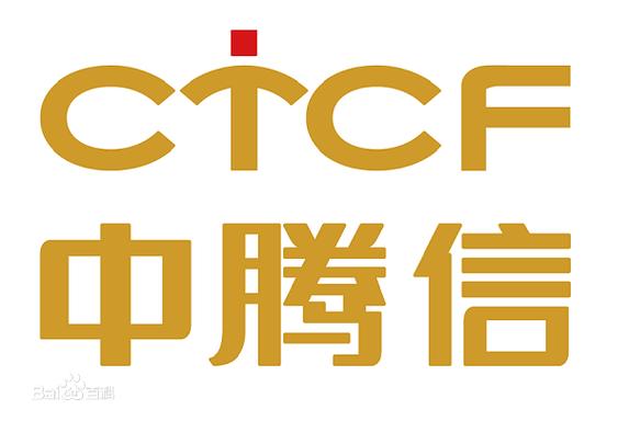 中腾资产管理有限公司