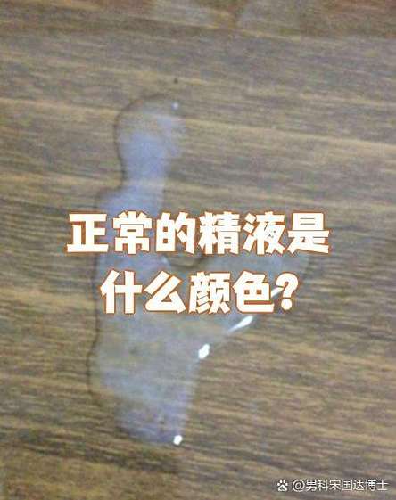 正常精子标准图片
