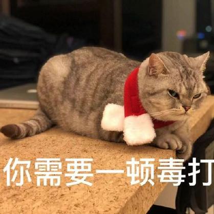 遭受生活的毒打表情包