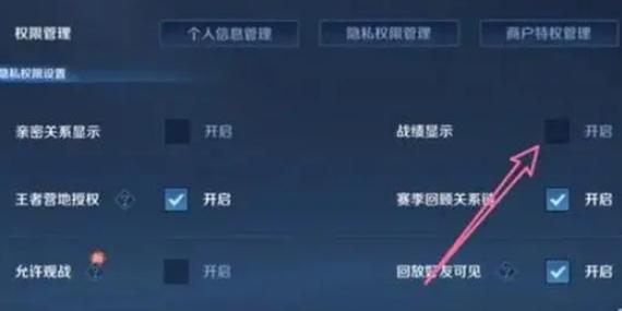 王者如何不让别人看历史战绩