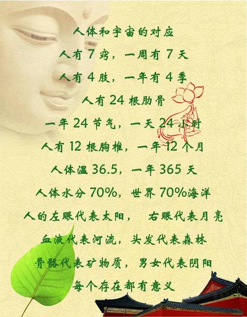 宇宙与人体的对应,一星期7天对7巧