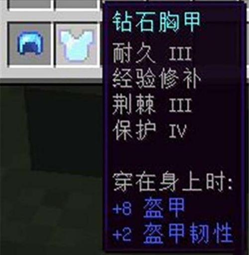 MC中胸甲有哪些附魔