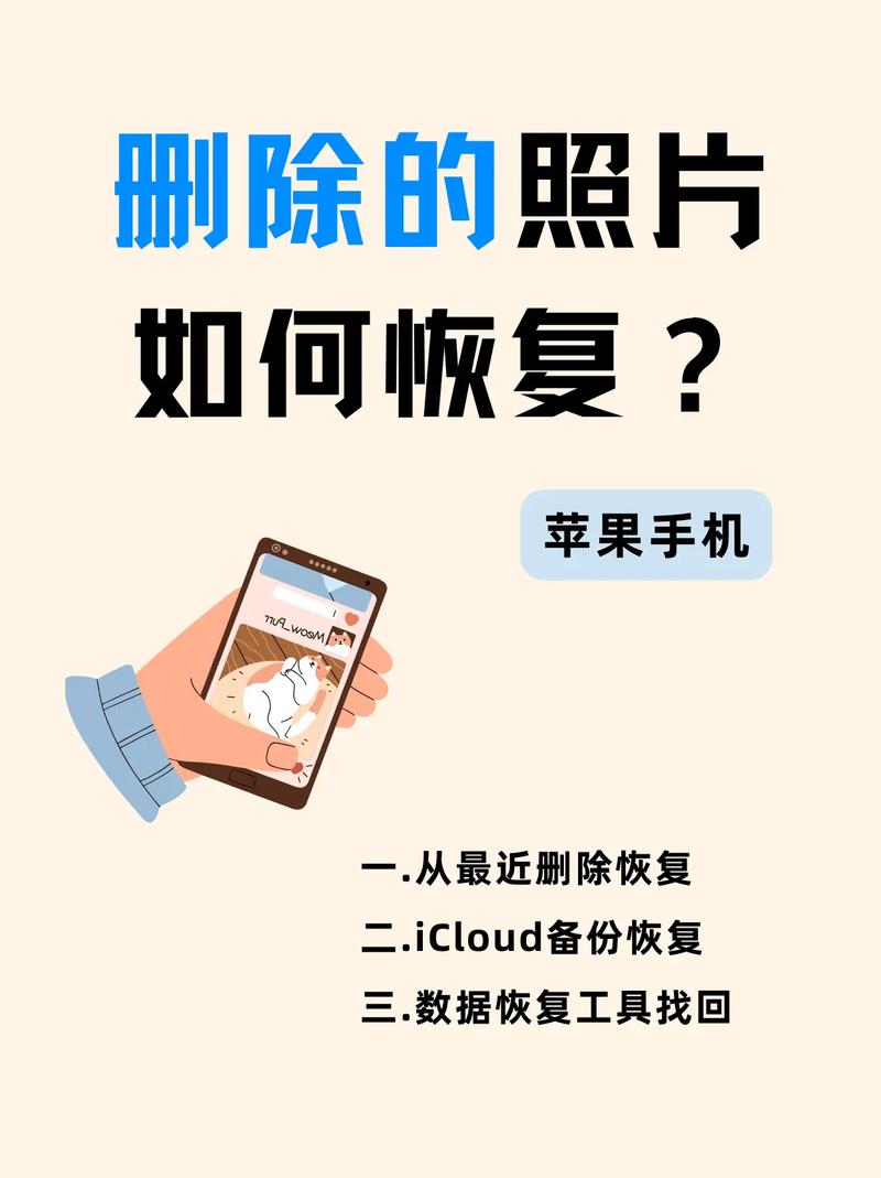 怎么能恢复相册被删除的照片