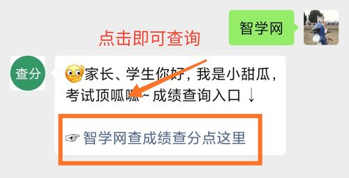 智学网入口查看成绩
