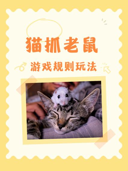 小猫手机屏抓老鼠游戏