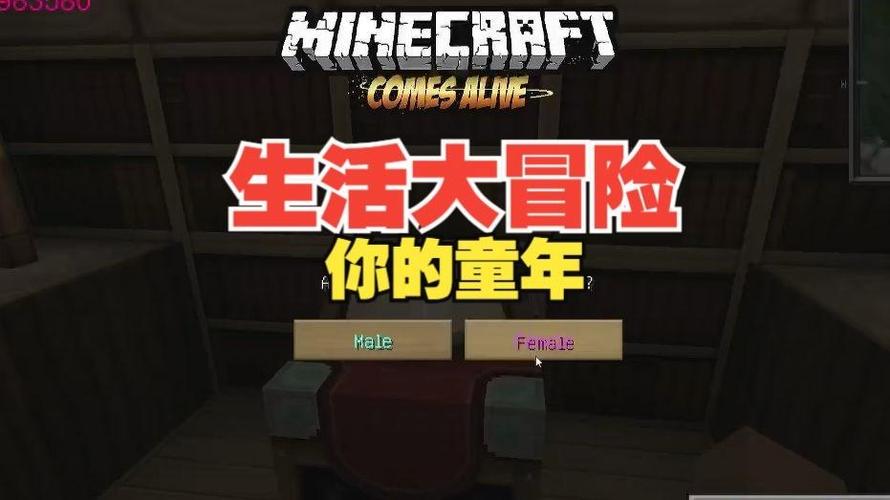 我的世界生活大冒险
