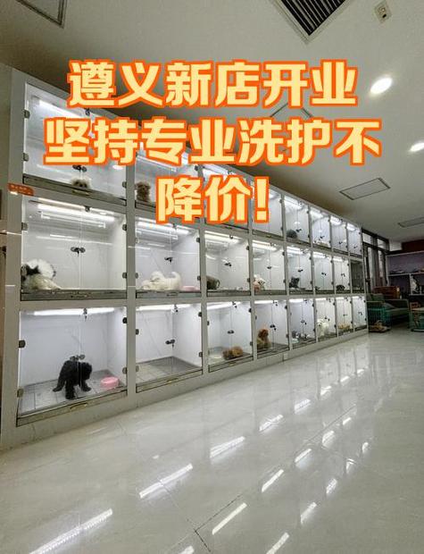 一个新店多久能养起来