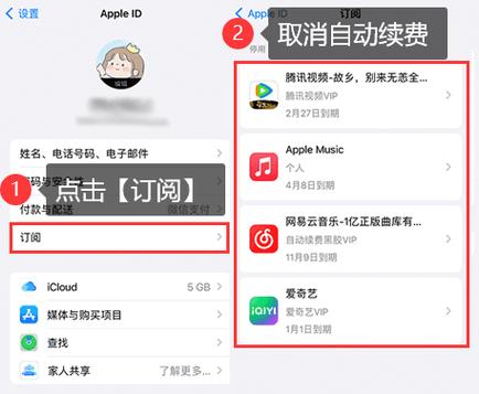 苹果订阅项目如何取消