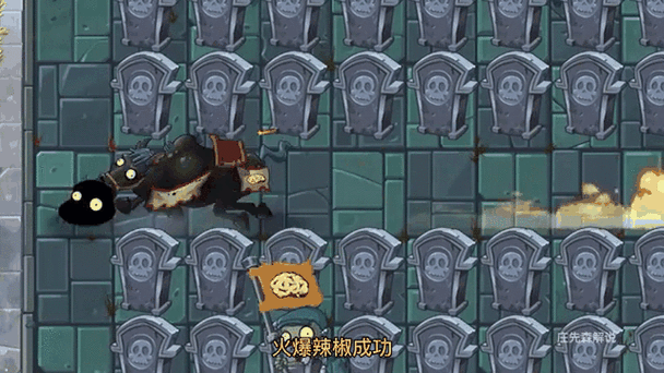 什么植物克制骑兵僵尸