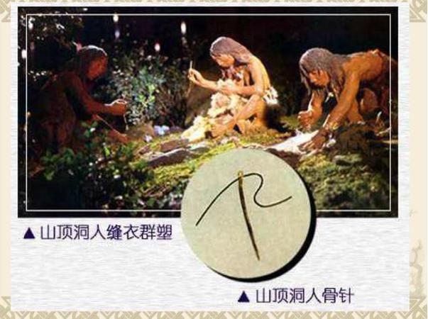母系