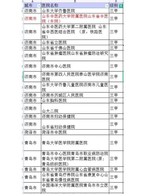 山东最好的祛痣医院