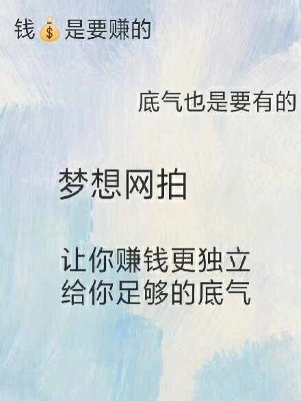 梦想网拍赚钱吗