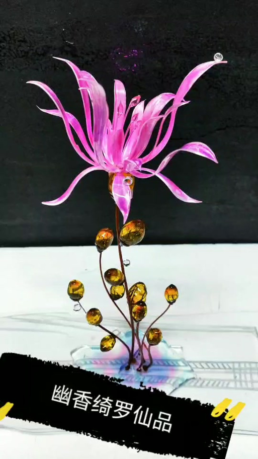 绮罗郁金香和幽香绮罗仙品