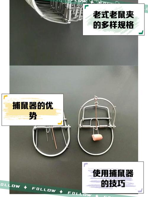 风极空痒痒鼠工具