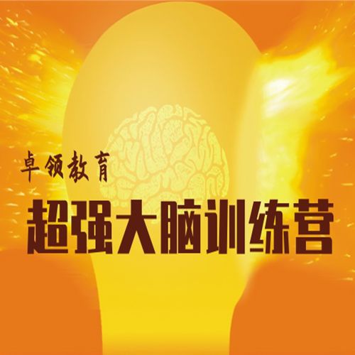 最强大脑怎么训练出来的