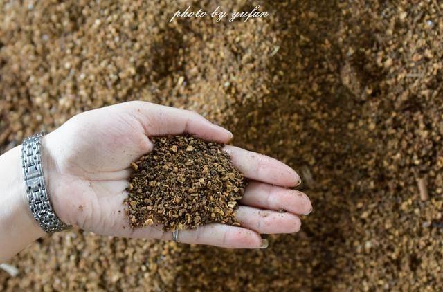 核桃云端改名叫什么