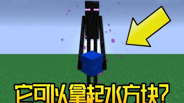 我的世界末影人可以搬动什么方块