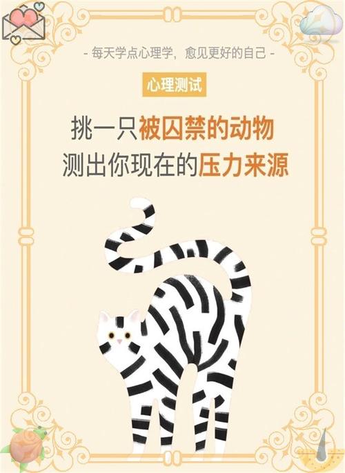 信息压力测试网页版
