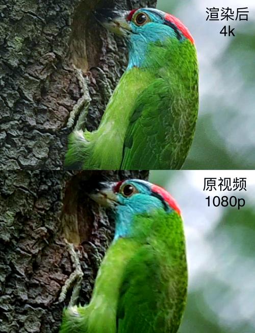 视频清晰度怎么提高