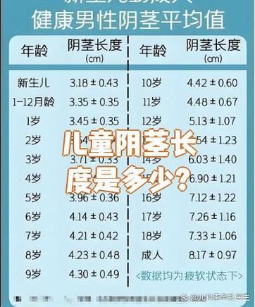 青少年生殖发育标准表图片