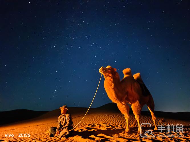 vivo手机专业怎么拍星空