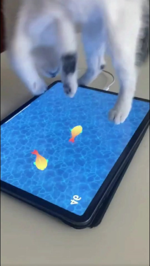 《peppycat抓鱼》下载