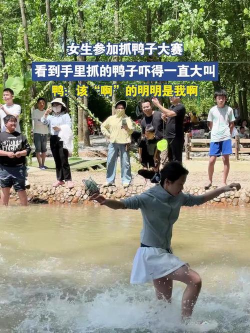 梦到别人抓鸭子