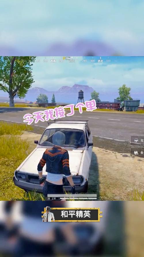 和平精英怎么什么软件可以接单