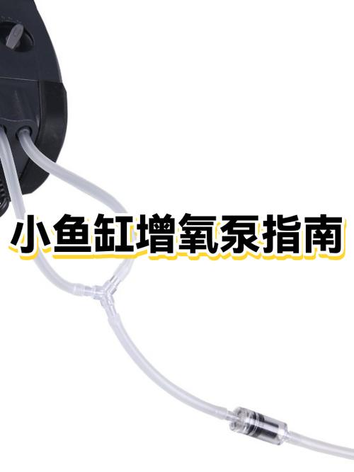 鱼缸增氧泵的正确使用方法
