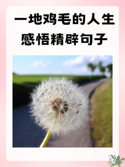 人生感悟50句精辟