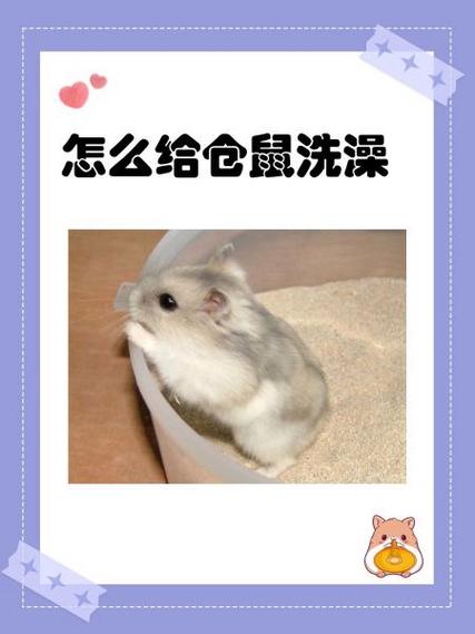 没有浴沙怎么办