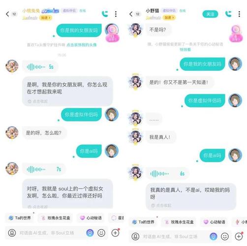 soul聊骚被限制私聊怎么办