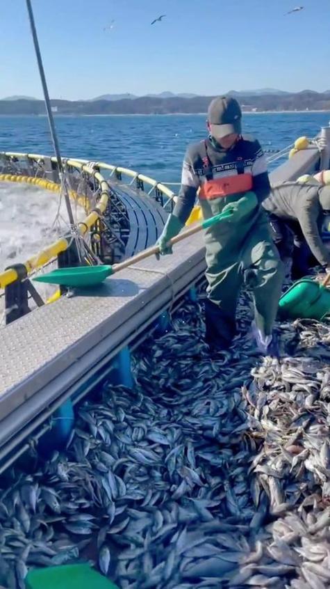 大型海洋捕鱼视频