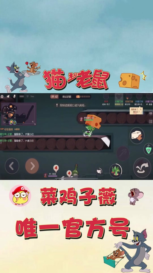 菜鸡子薇的真名