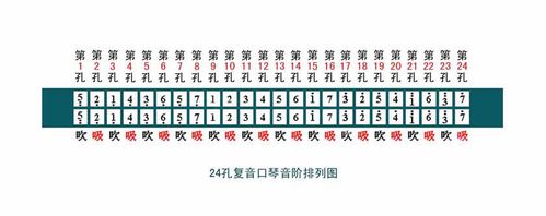 重音口琴24孔的发音图