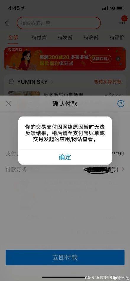 网站支付页面打不开