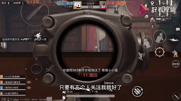 和平精英麦克