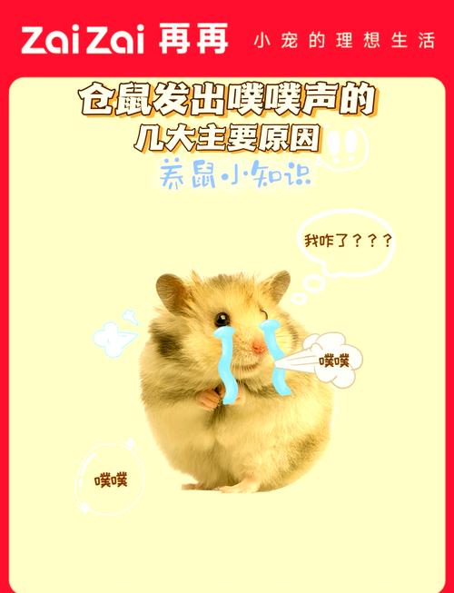 仓鼠噗噗噗的声音怎么回事