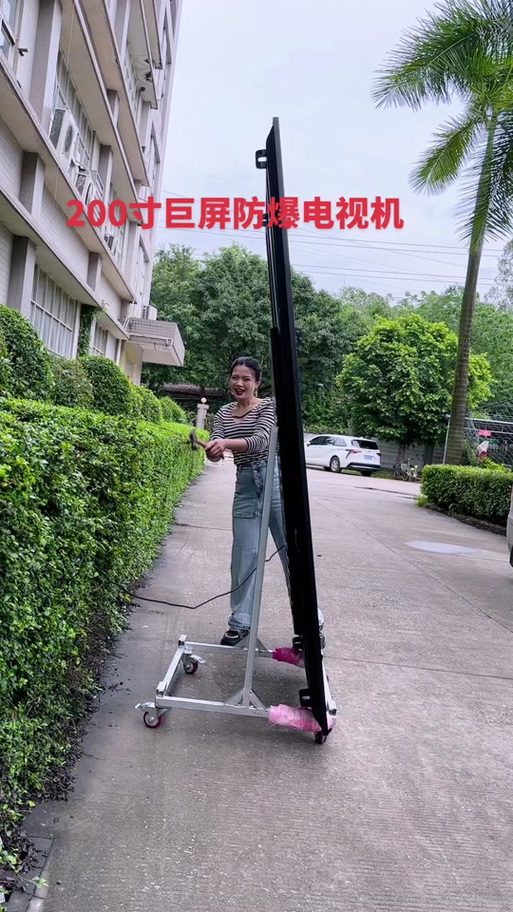 200英寸的超大液晶电视