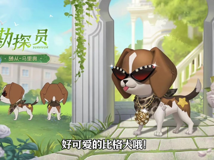 三个随从是狗吗
