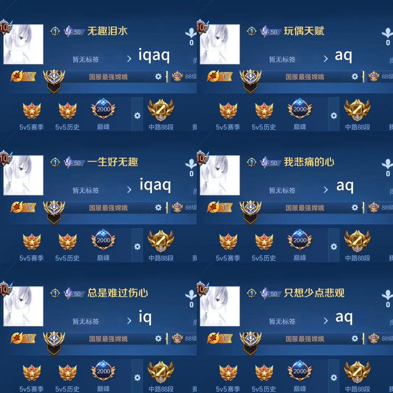 王者荣耀名字重复修改器
